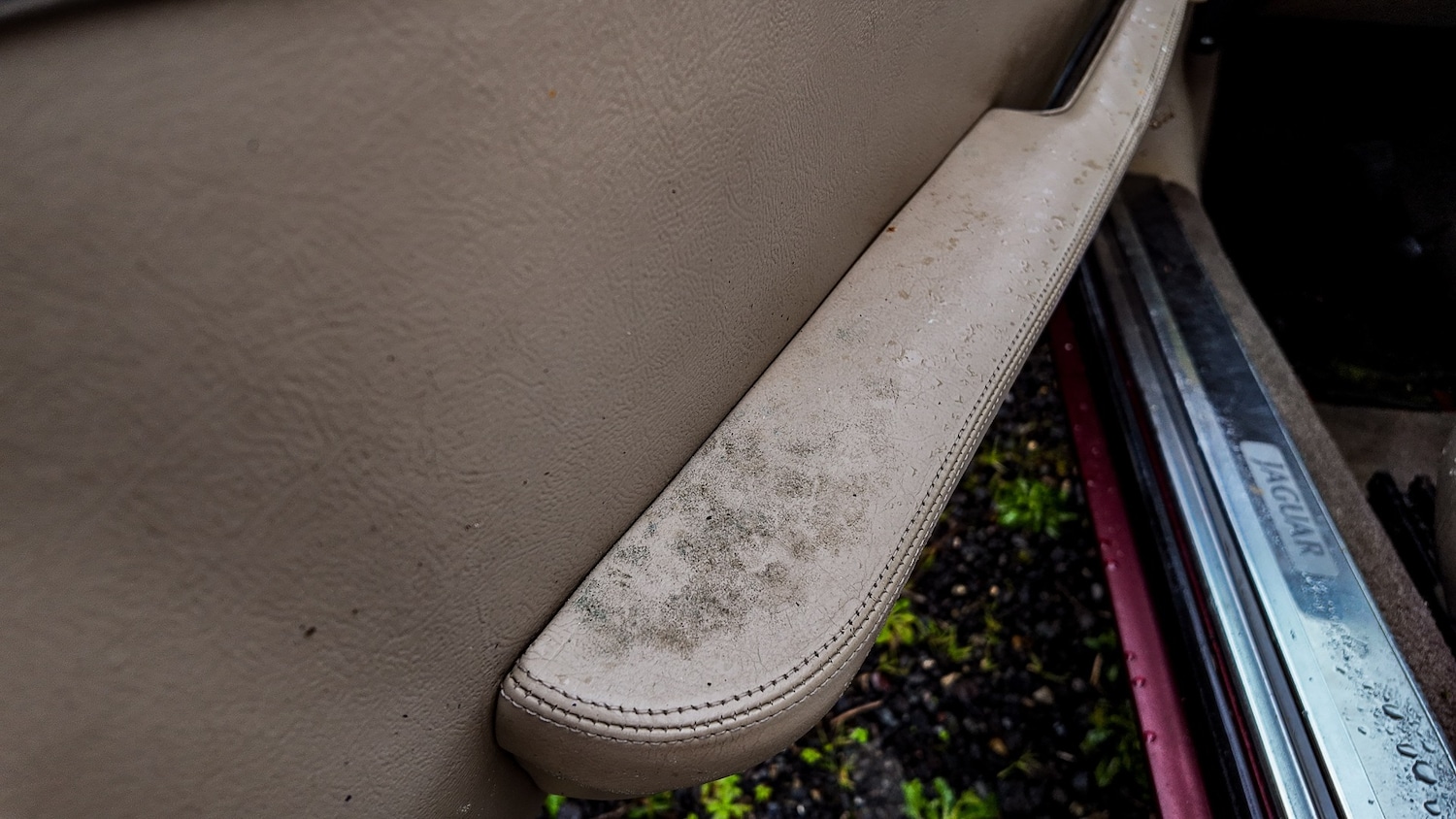 Used Jaguar XJS 1994 for sale - 77603325: Photo 19