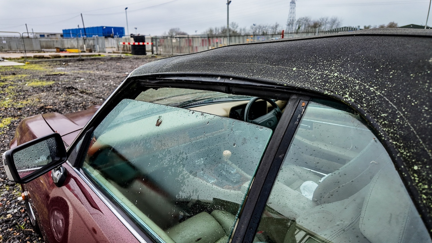 Used Jaguar XJS 1994 for sale - 77603325: Photo 20