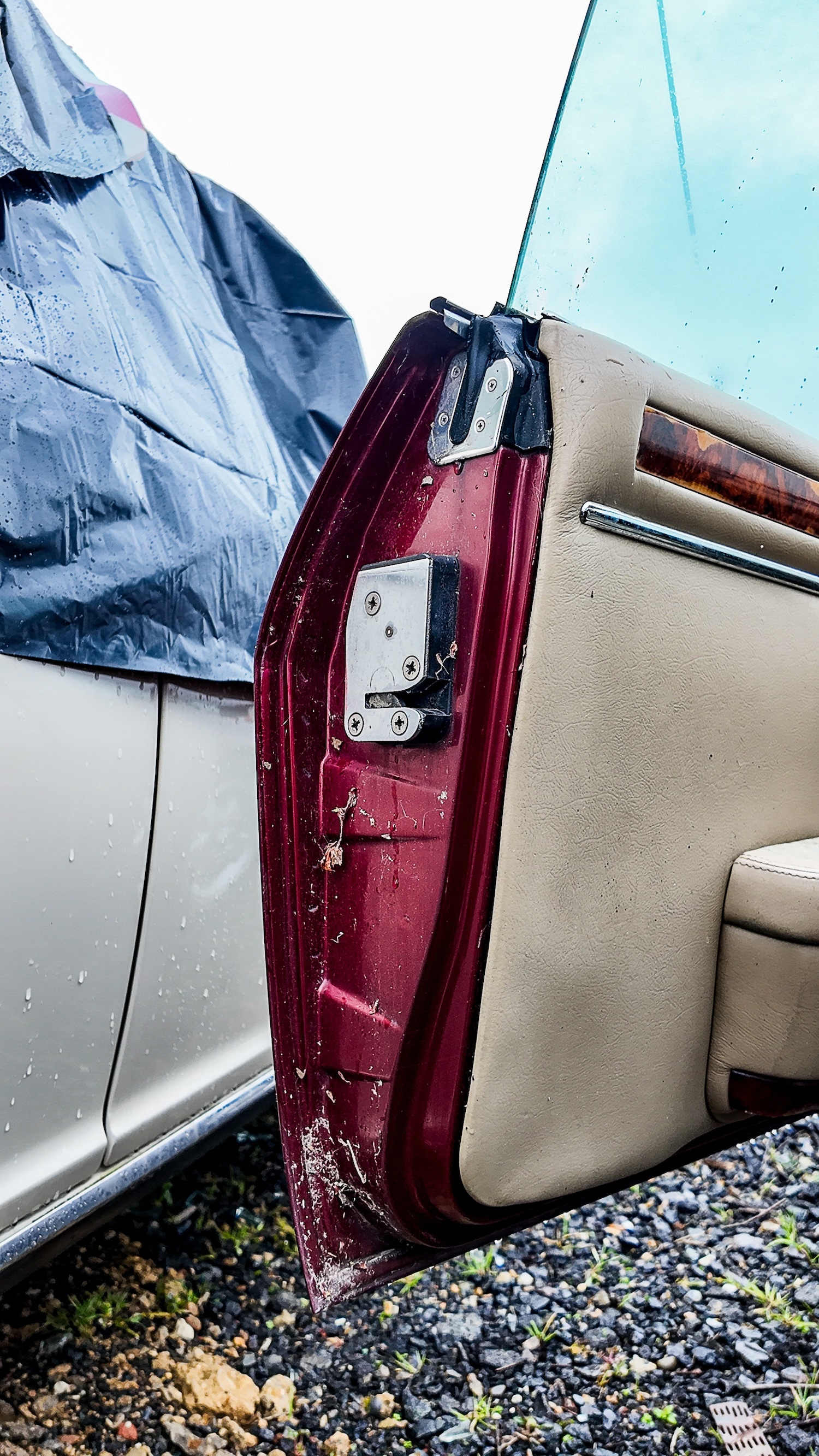 Used Jaguar XJS 1994 for sale - 77603325: Photo 23