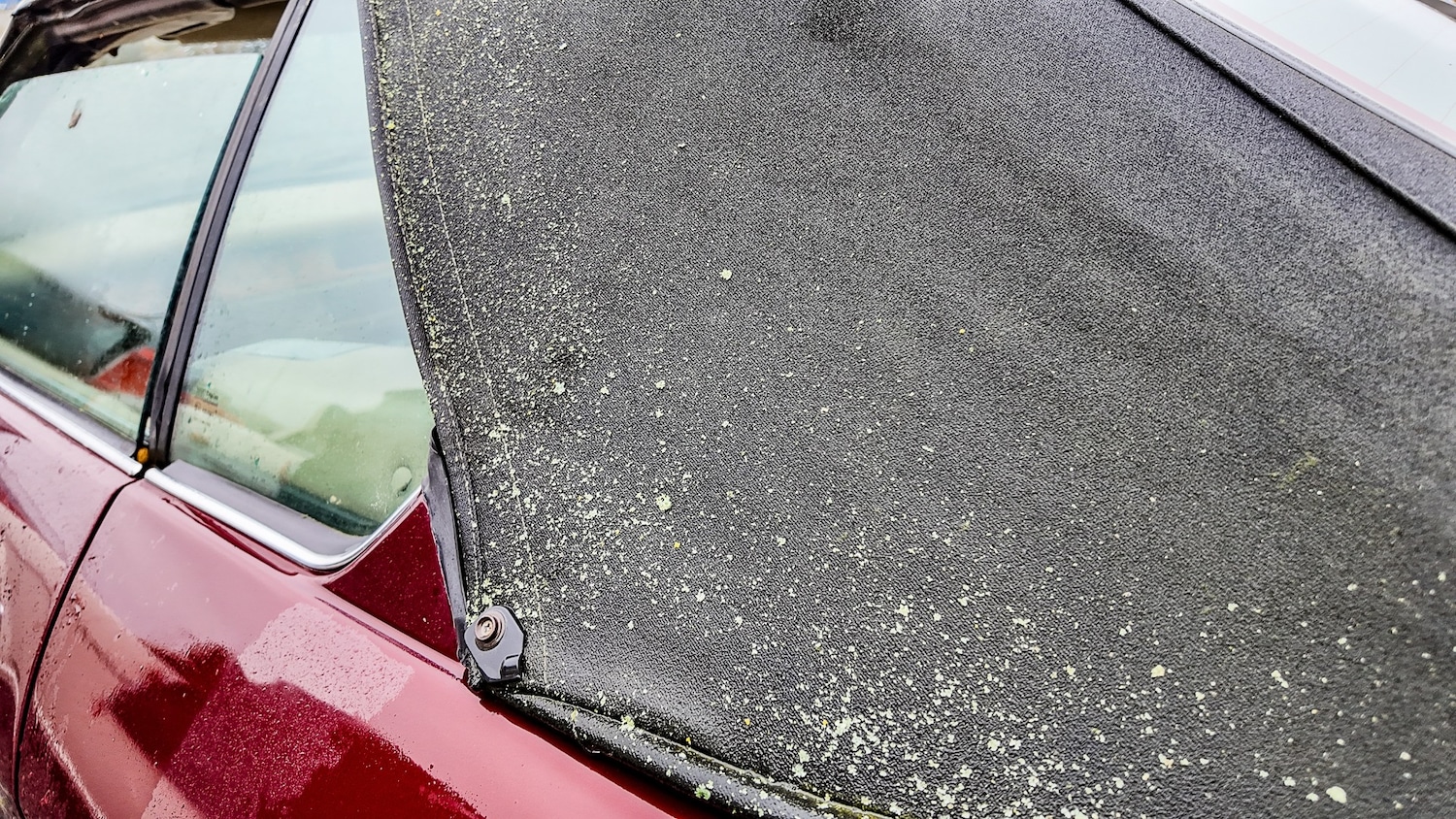 Used Jaguar XJS 1994 for sale - 77603325: Photo 25