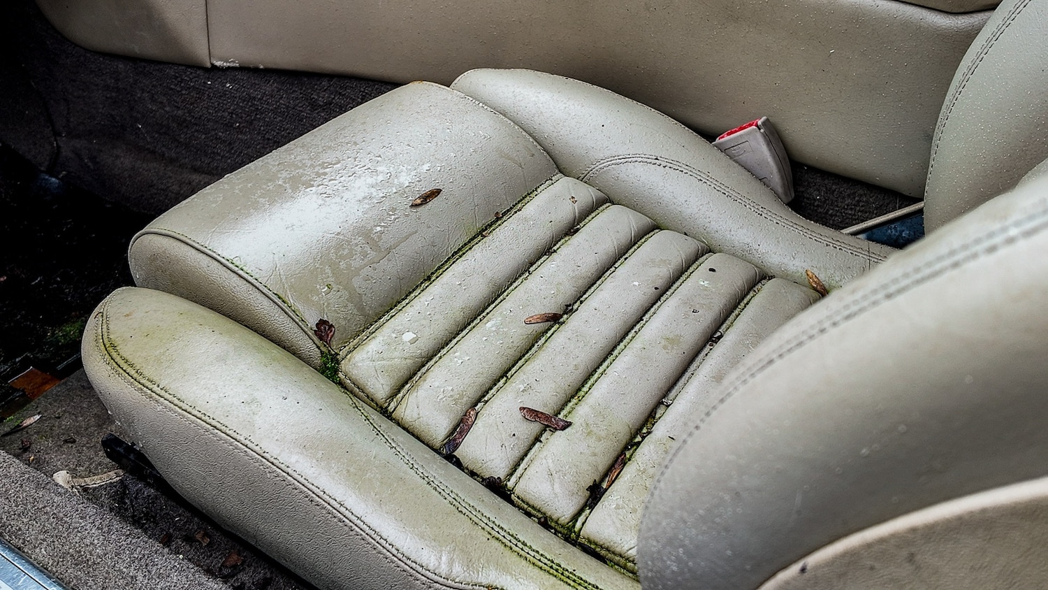 Used Jaguar XJS 1994 for sale - 77603325: Photo 27