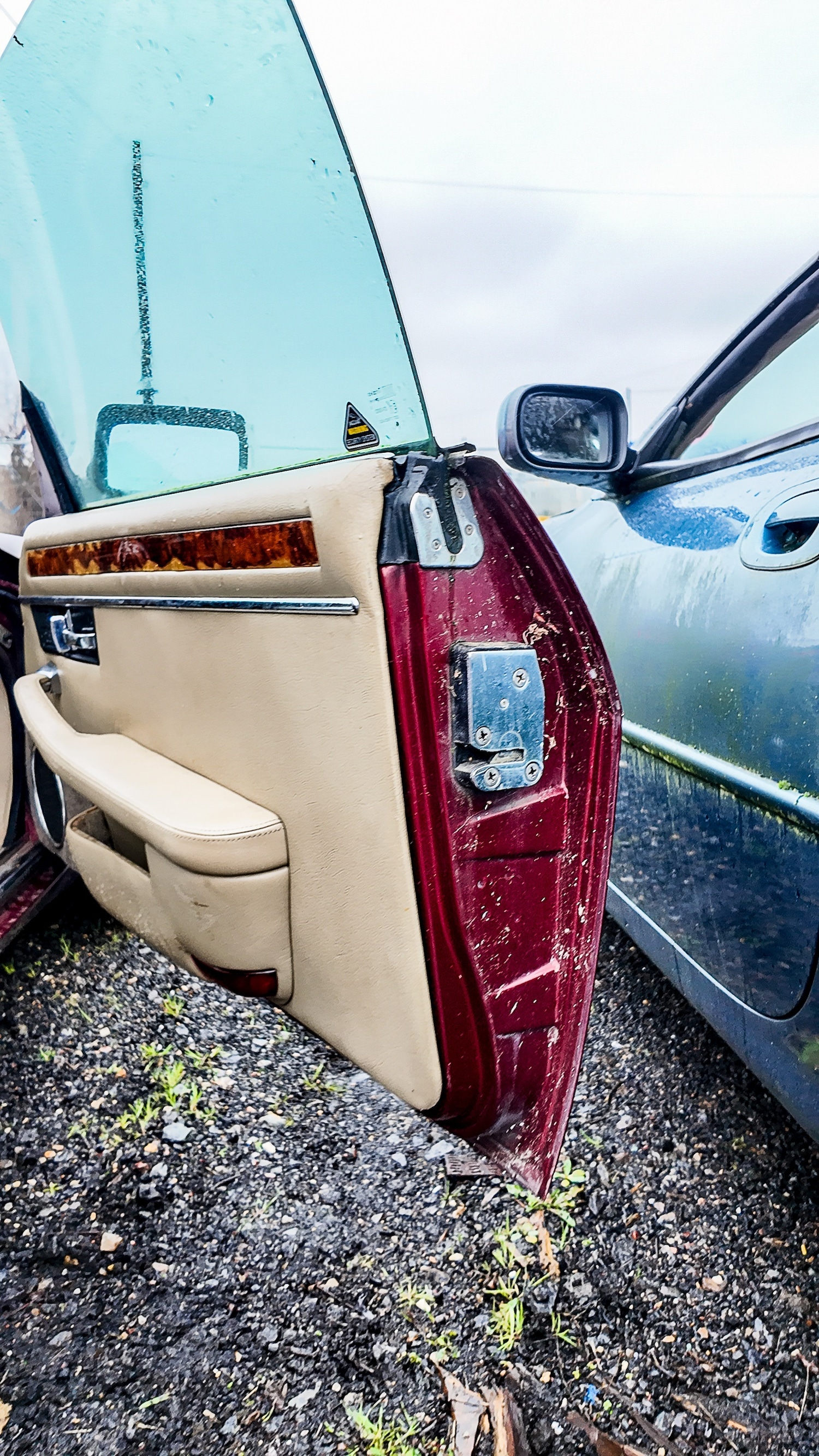 Used Jaguar XJS 1994 for sale - 77603325: Photo 32