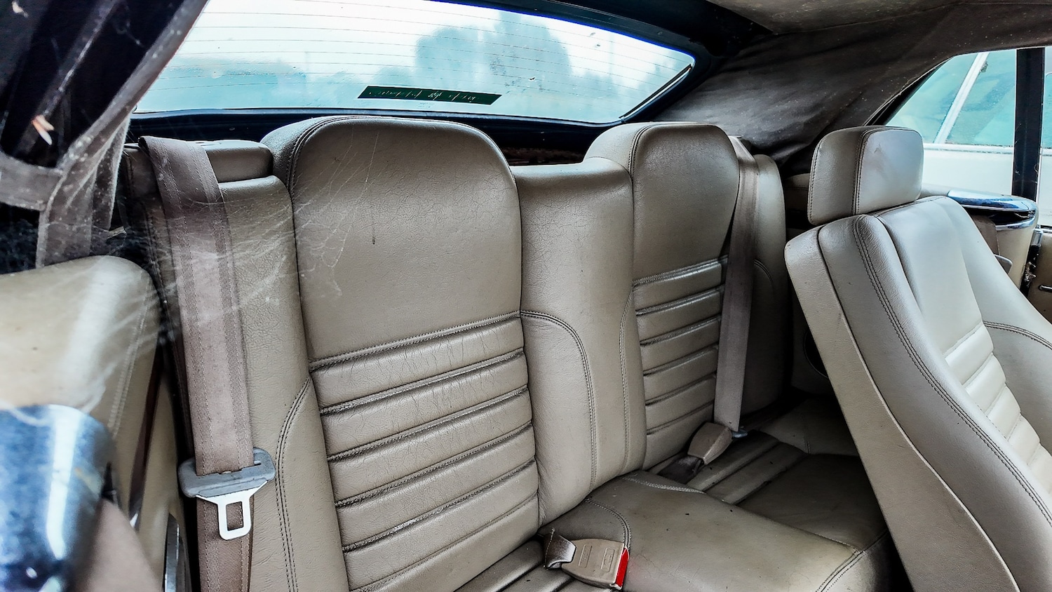 Used Jaguar XJS 1994 for sale - 77603325: Photo 34