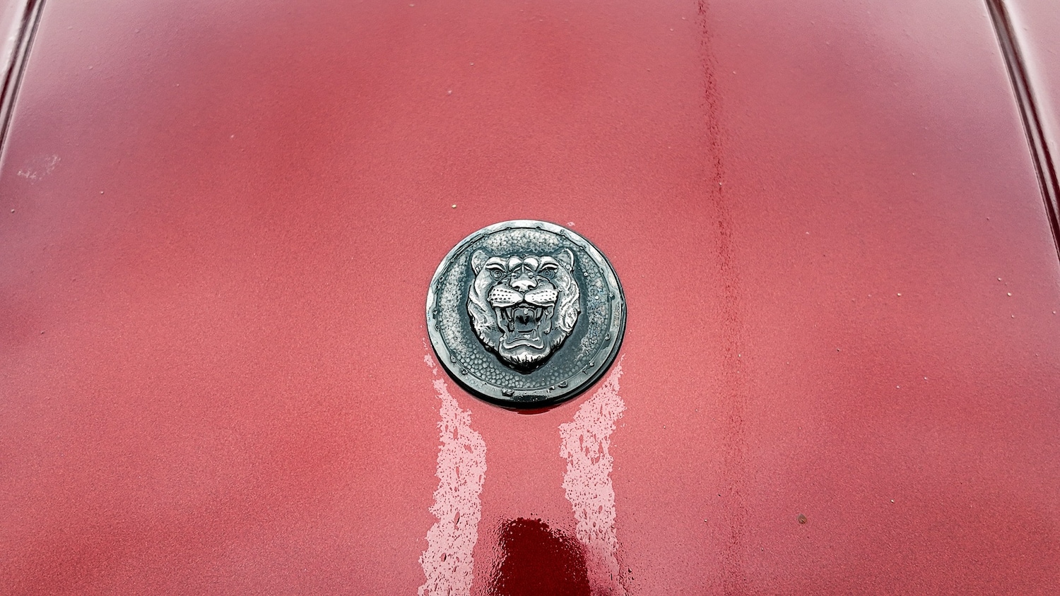 Used Jaguar XJS 1994 for sale - 77603325: Photo 36