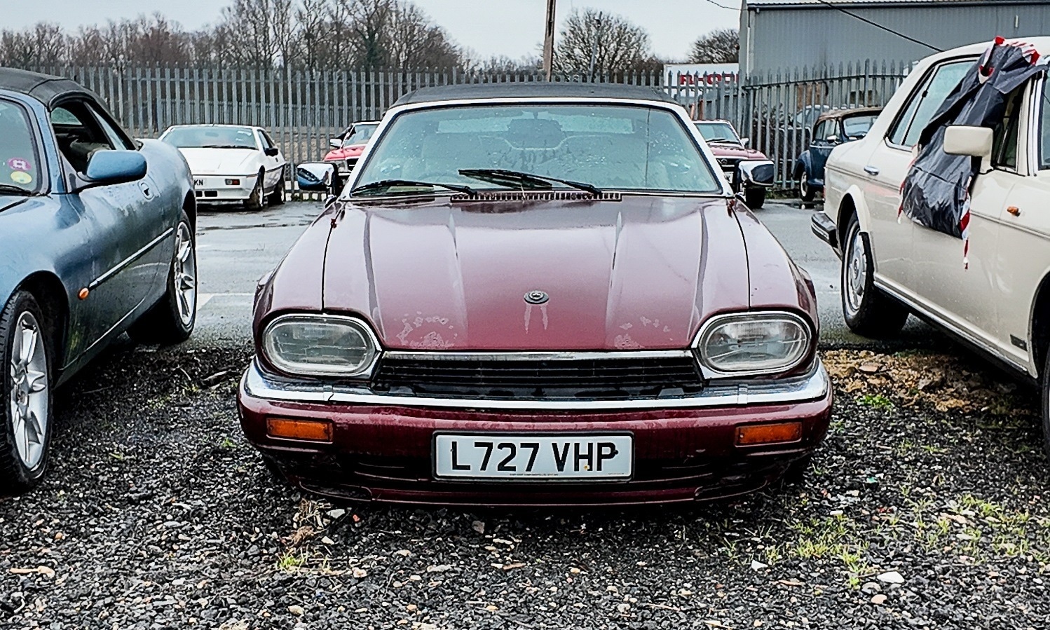 Used Jaguar XJS 1994 for sale - 77603325: Photo 5