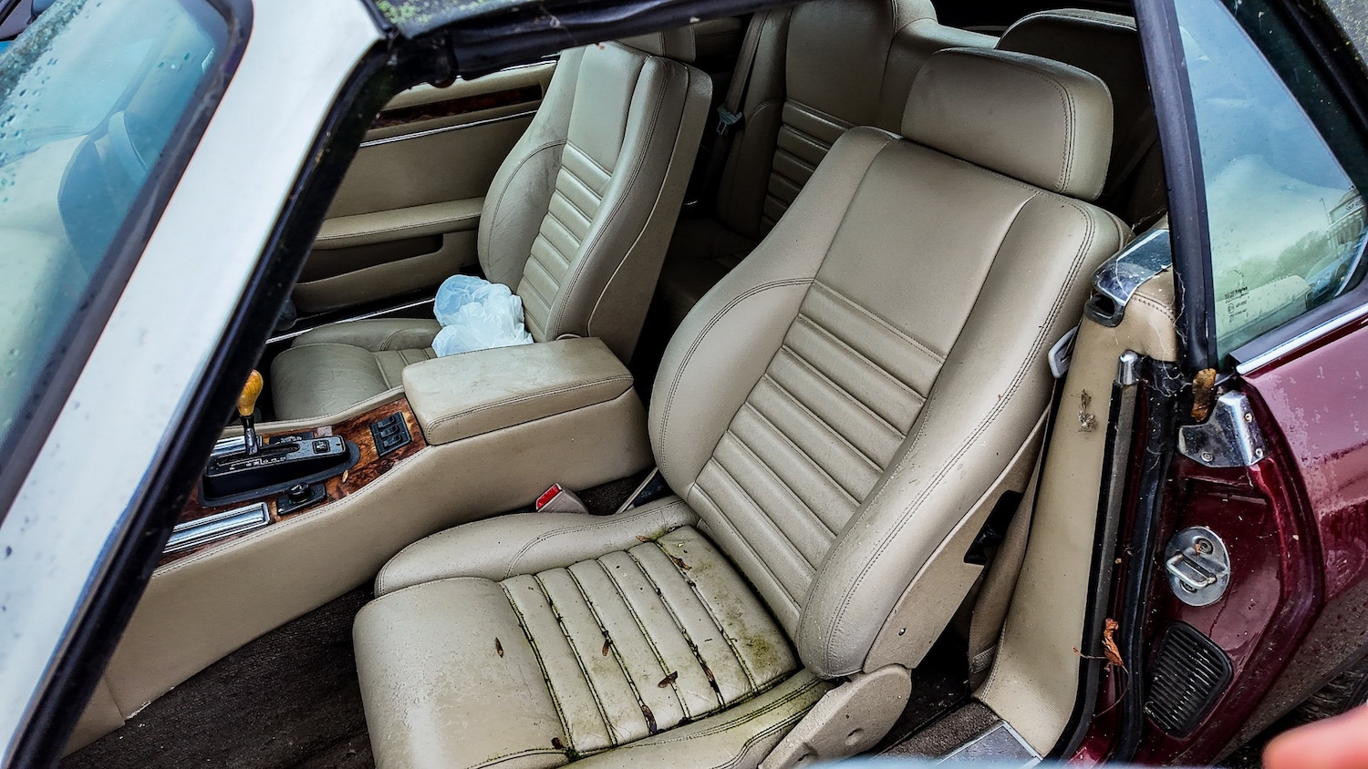 Used Jaguar XJS 1994 for sale - 77603325: Photo 7