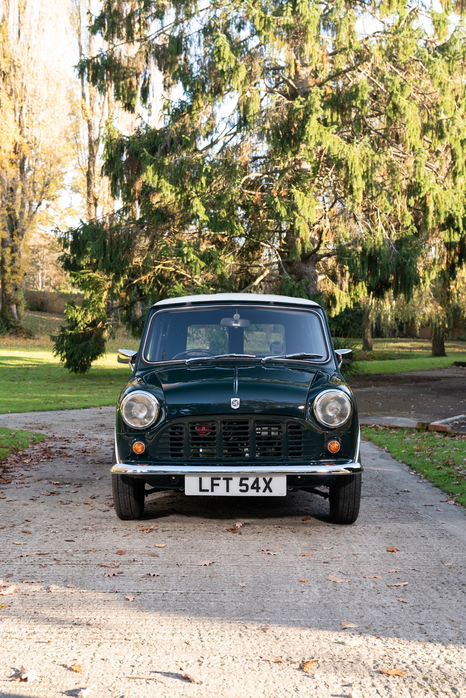 Used Austin Mini 1981 for sale - 76412333: Photo 21