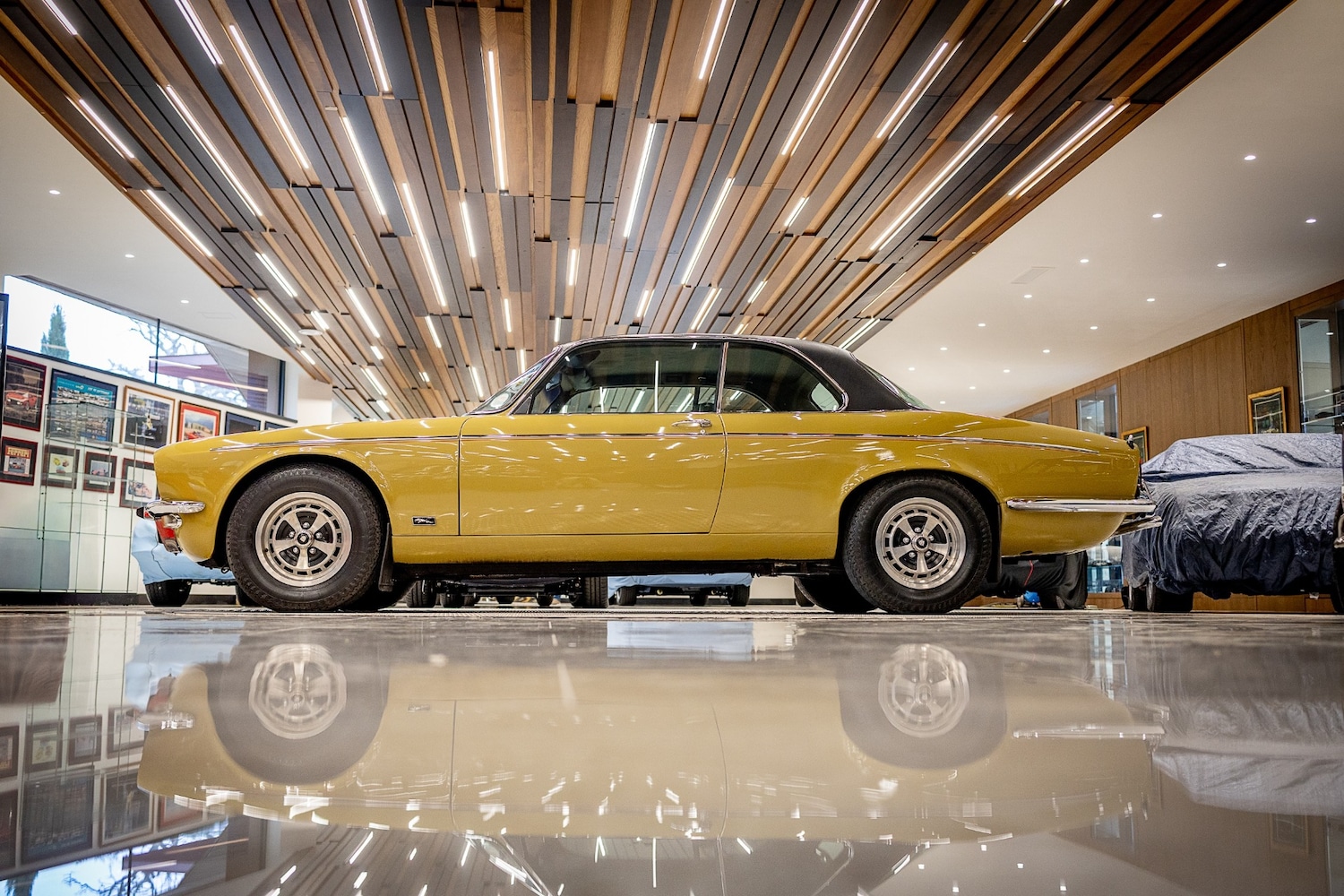 Used Jaguar XJ 1975 for sale - 77446888: Photo 16