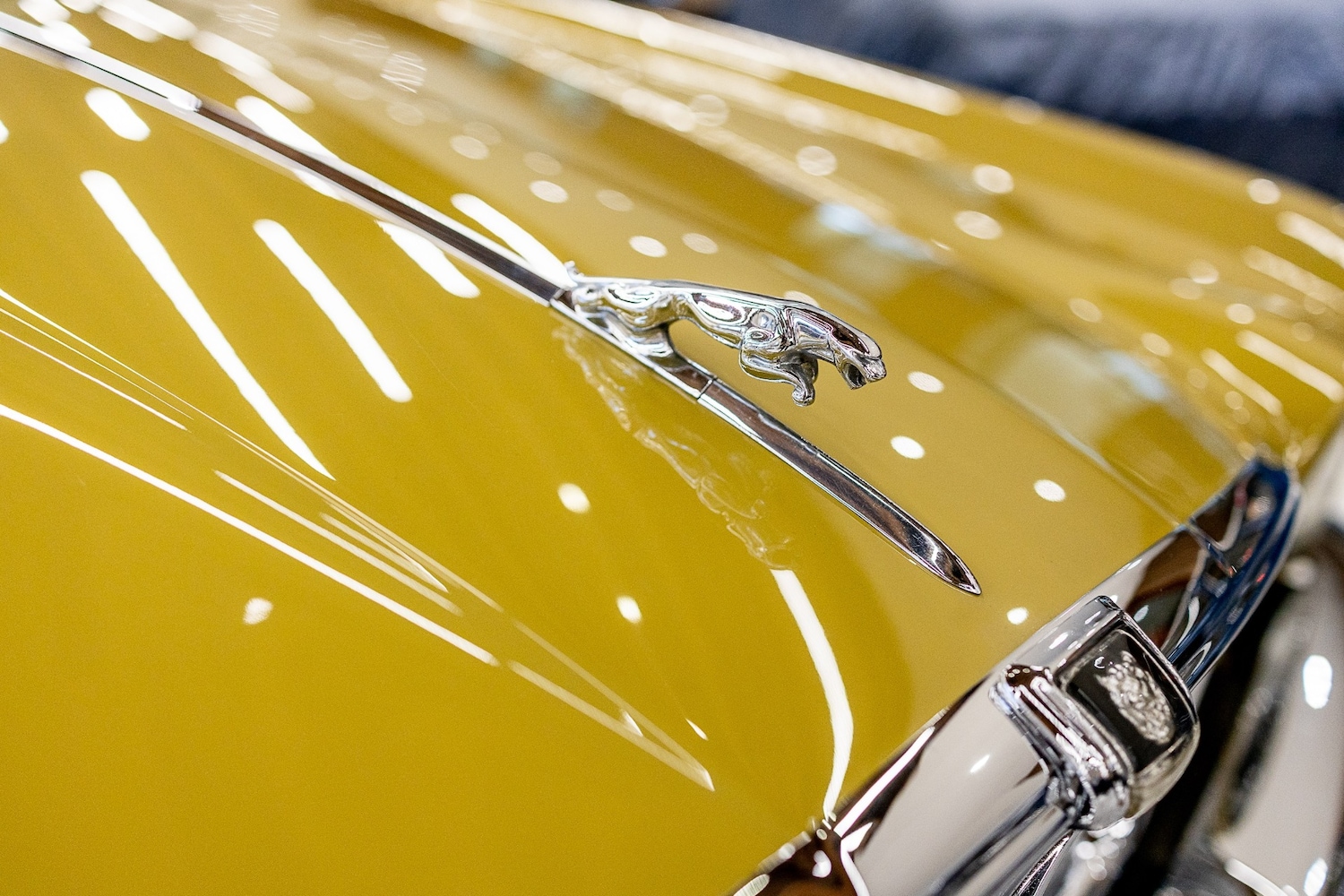 Used Jaguar XJ 1975 for sale - 77446888: Photo 28