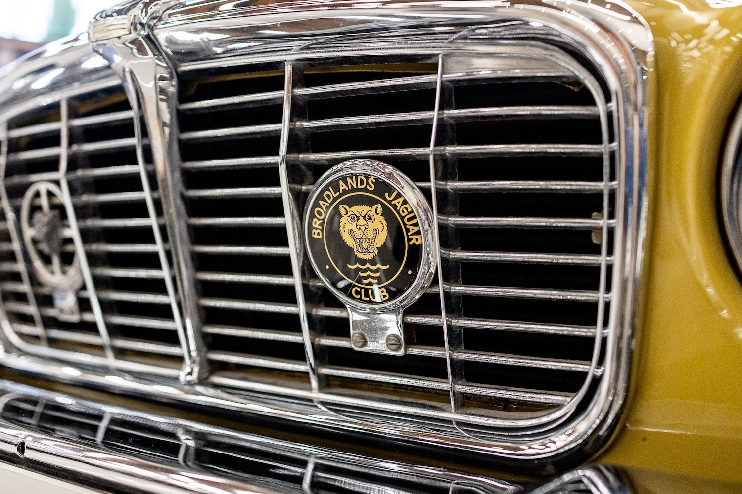 Used Jaguar XJ 1975 for sale - 77446888: Photo 29