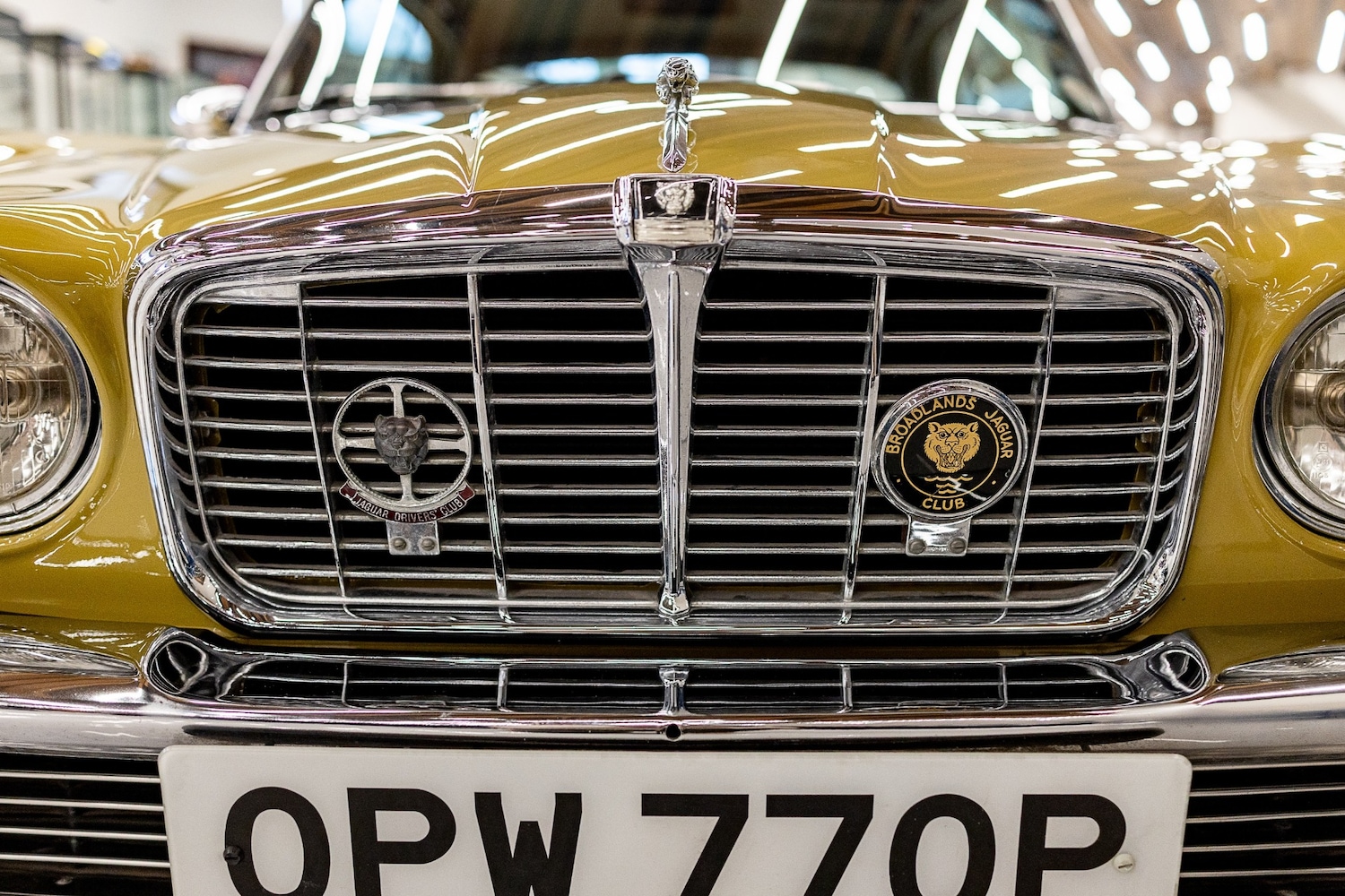 Used Jaguar XJ 1975 for sale - 77446888: Photo 30