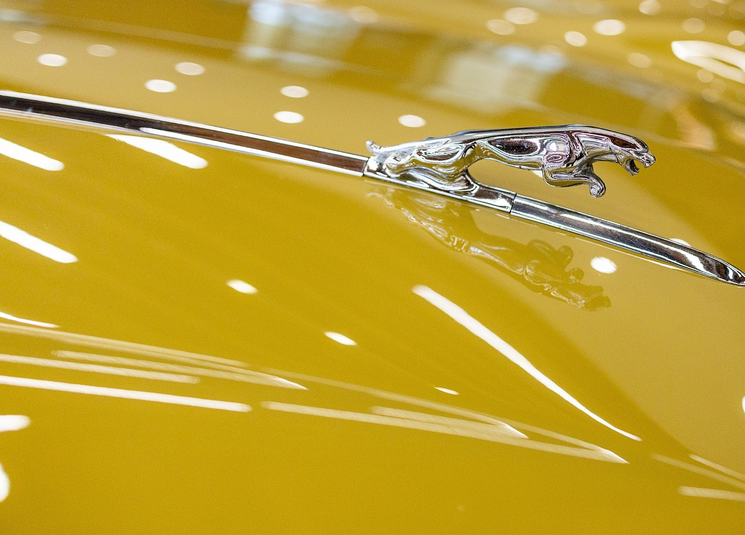 Used Jaguar XJ 1975 for sale - 77446888: Photo 34