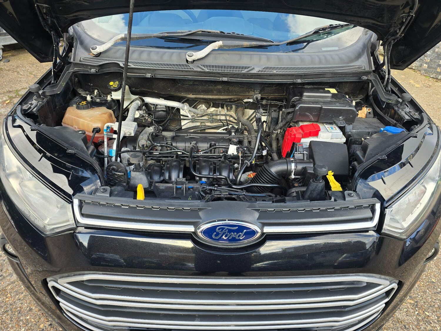 Used Ford Ecosport 2016 for sale - 77838914: Photo 26