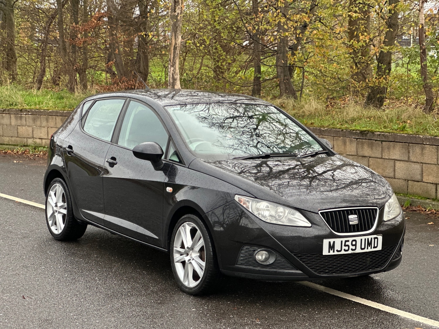 Used SEAT Ibiza 2009 for sale - 76878007: Photo 1