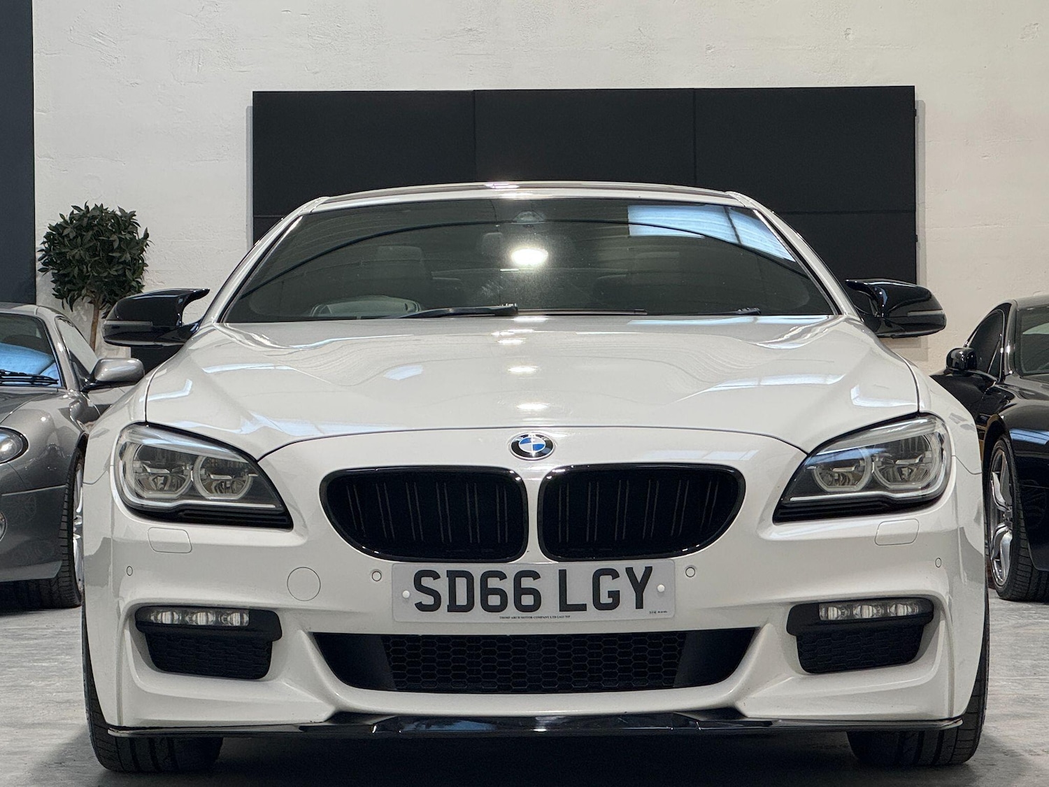 Used BMW 6 Series 2016 for sale - 77958129: Photo 5