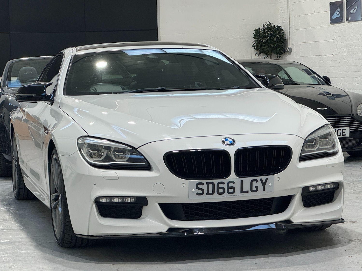 Used BMW 6 Series 2016 for sale - 77958129: Photo 6