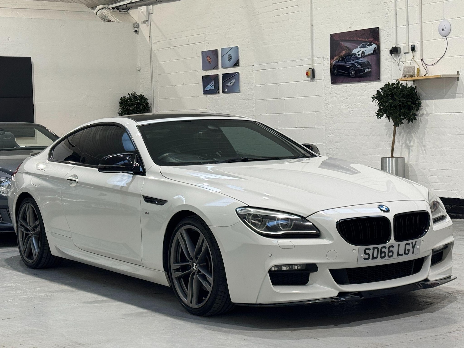 Used BMW 6 Series 2016 for sale - 77958129: Photo 7