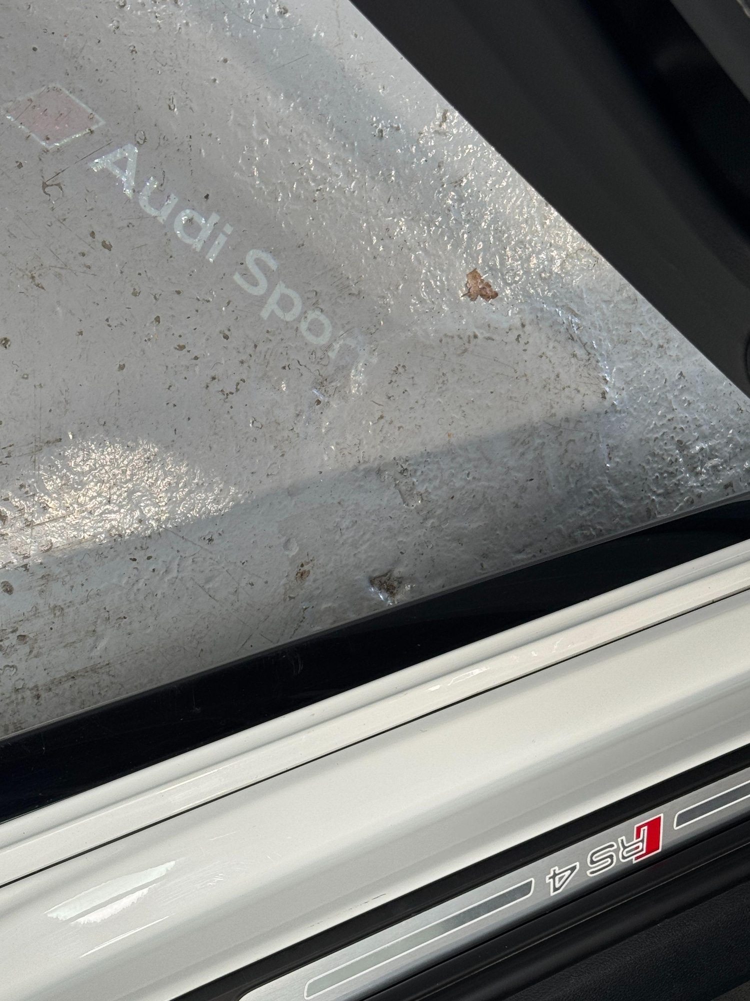 Used Audi RS4 Avant 2019 for sale - 76012583: Photo 89