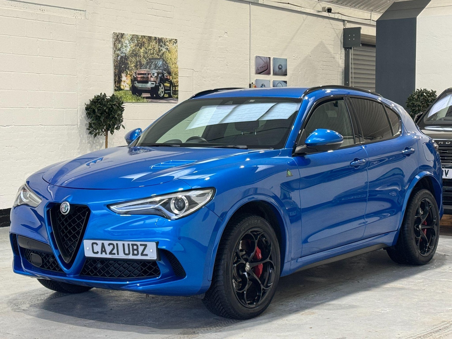 Used Alfa Romeo Stelvio for sale - 76926679: Photo 3