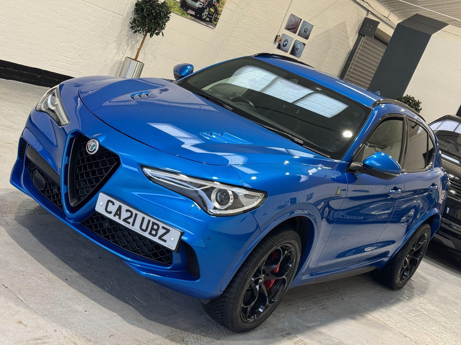 Used Alfa Romeo Stelvio for sale - 76926679: Photo 30