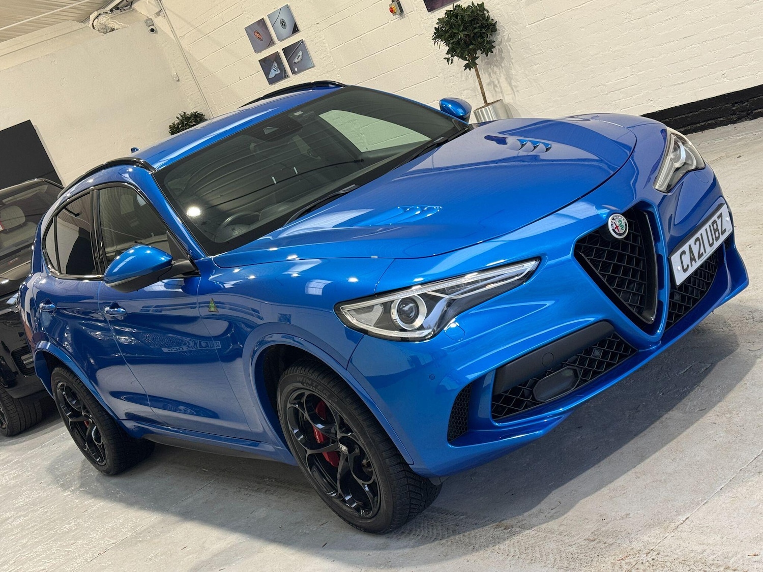 Used Alfa Romeo Stelvio for sale - 76926679: Photo 31