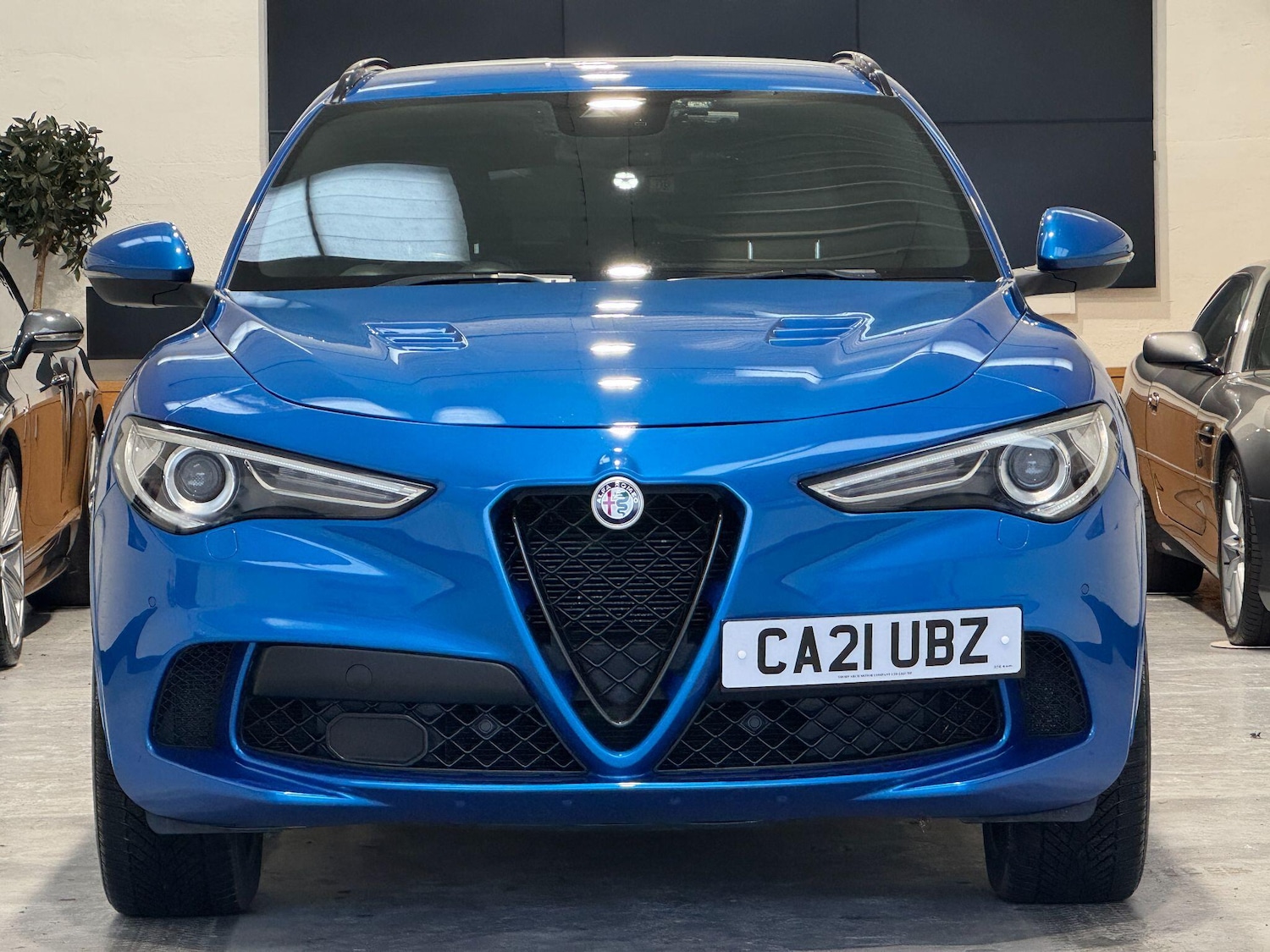 Used Alfa Romeo Stelvio for sale - 76926679: Photo 5