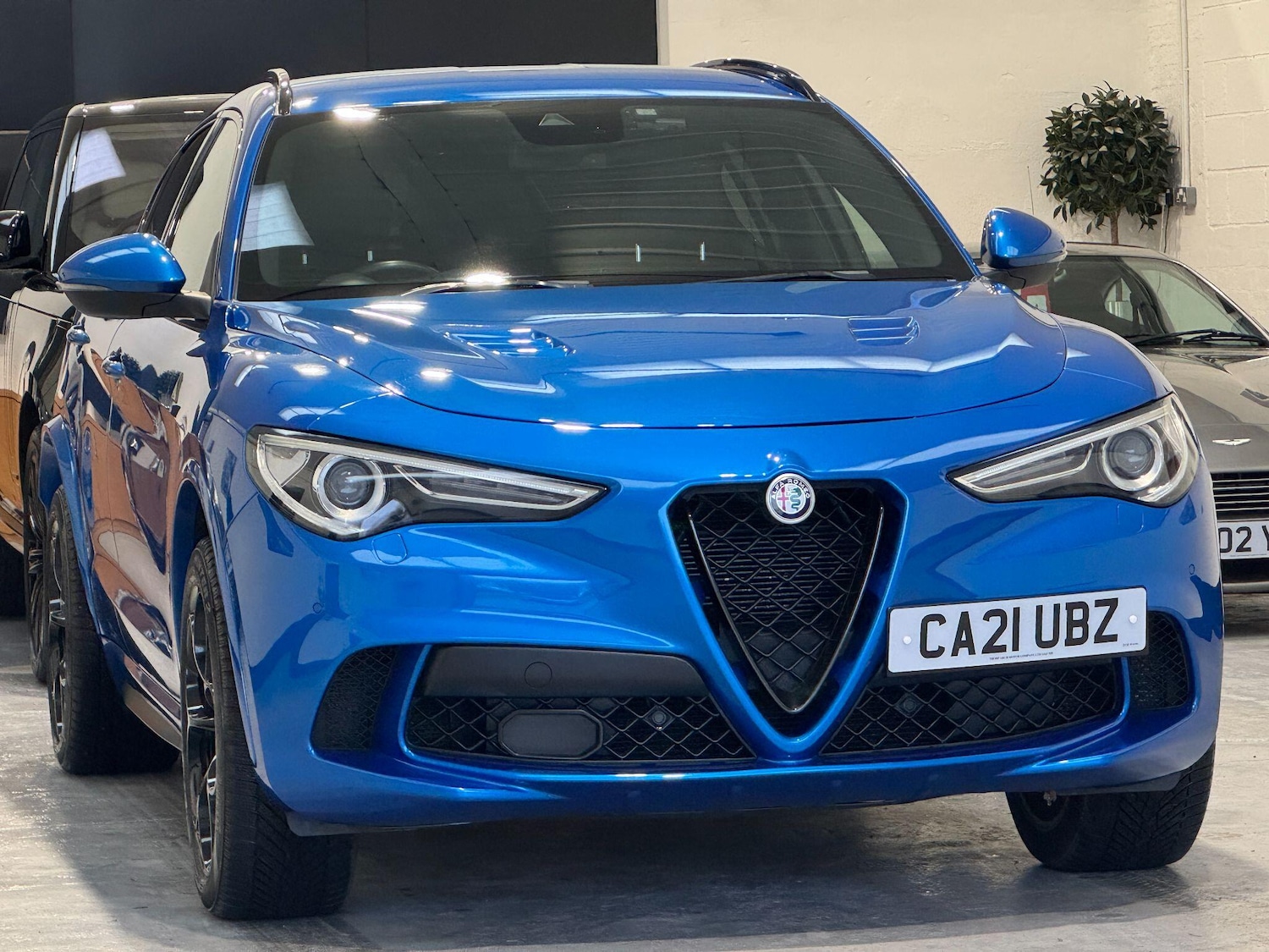 Used Alfa Romeo Stelvio for sale - 76926679: Photo 6