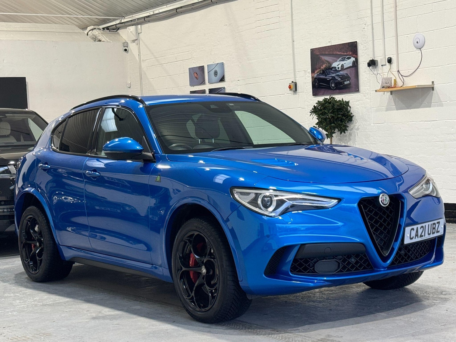 Used Alfa Romeo Stelvio for sale - 76926679: Photo 7