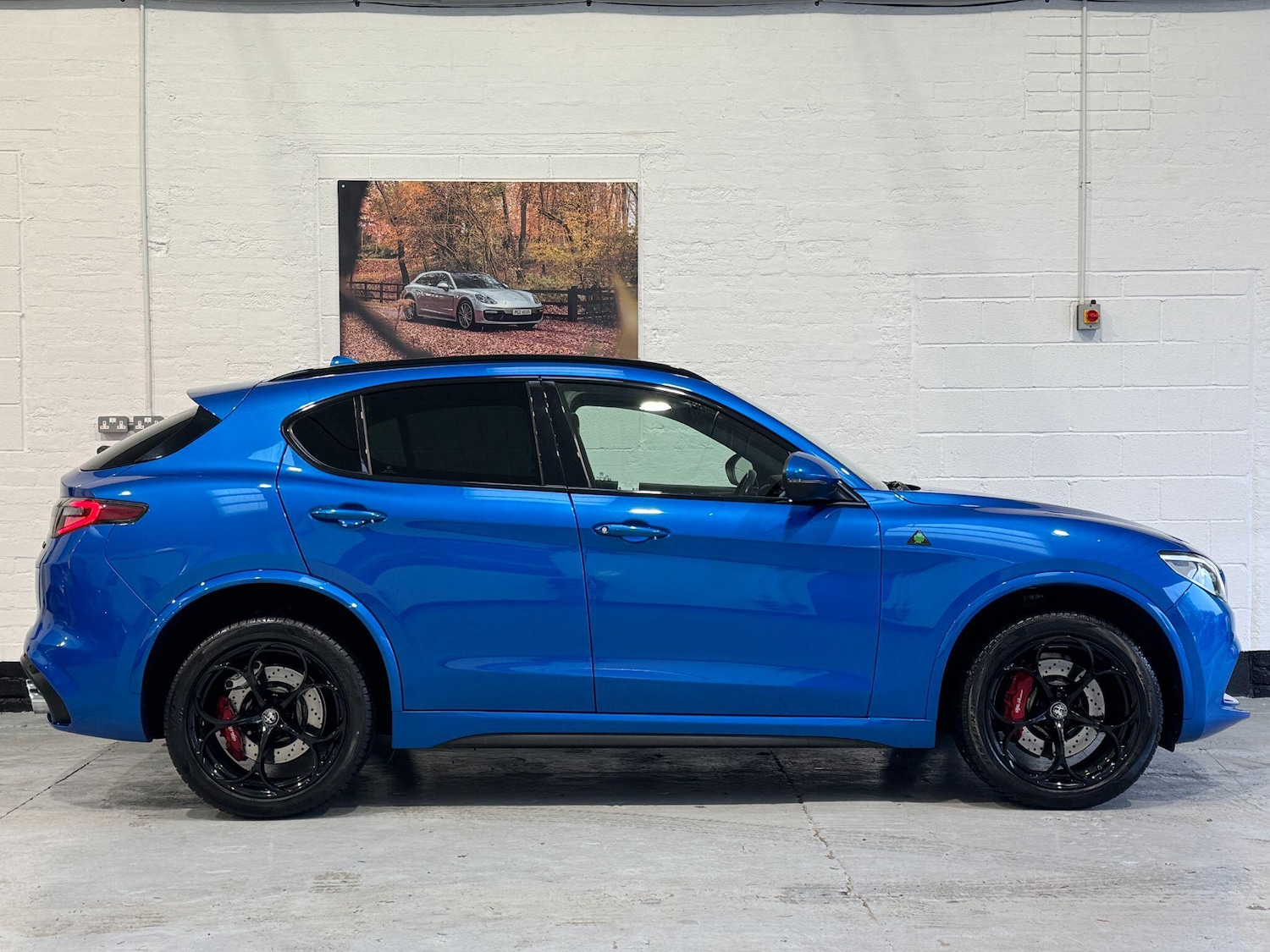 Used Alfa Romeo Stelvio for sale - 76926679: Photo 8