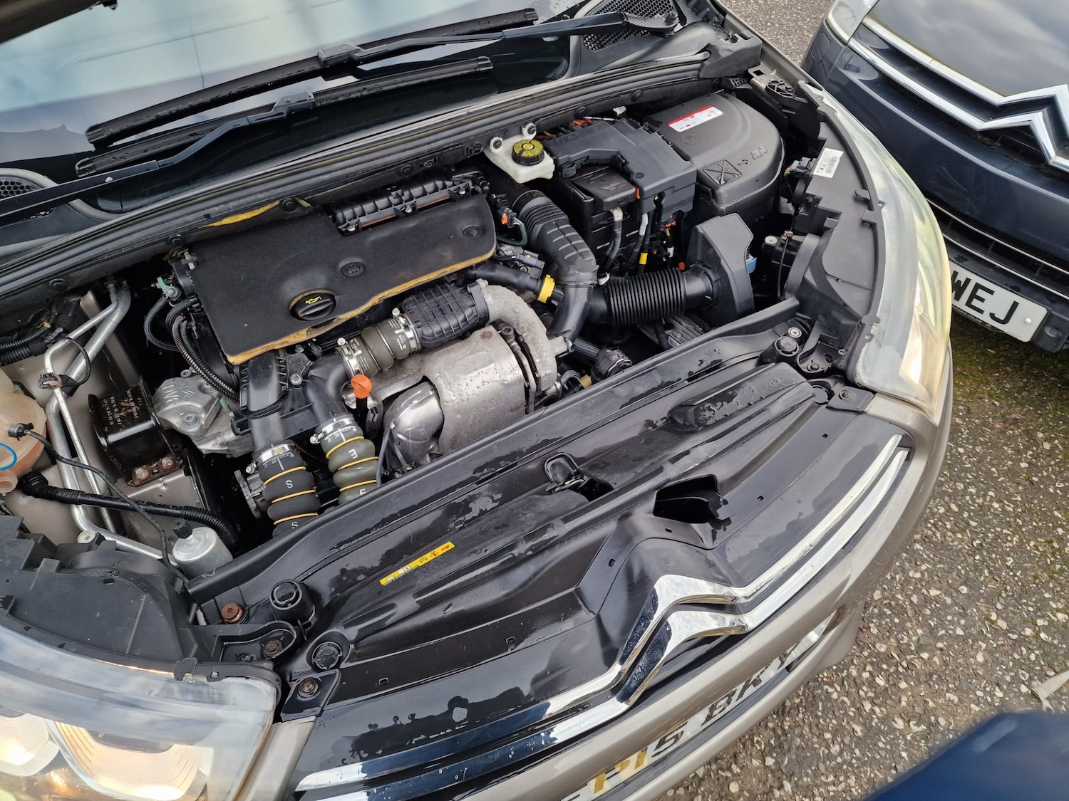 Used Citroen C4 2015 for sale - 76332081: Photo 16