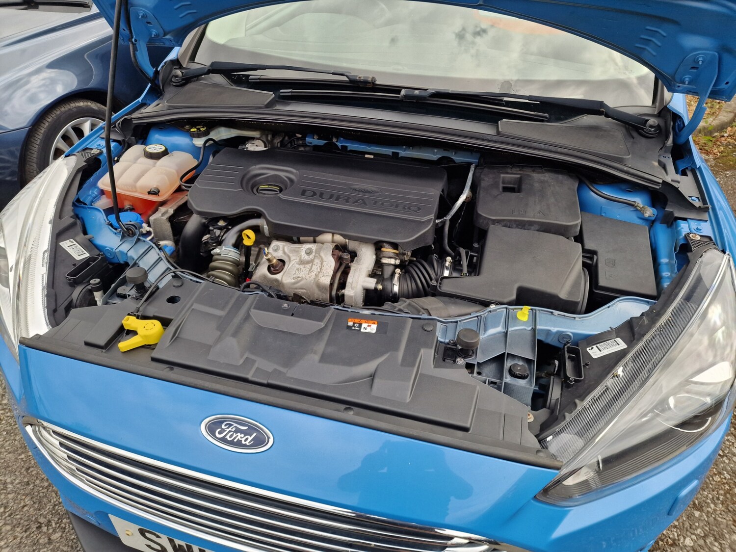 Used Ford Focus 2016 for sale - 75594022: Photo 13