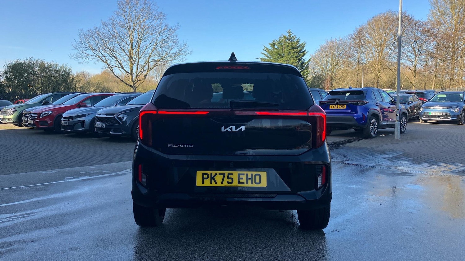 Used Kia Picanto 2025 for sale - 77537305: Photo 7