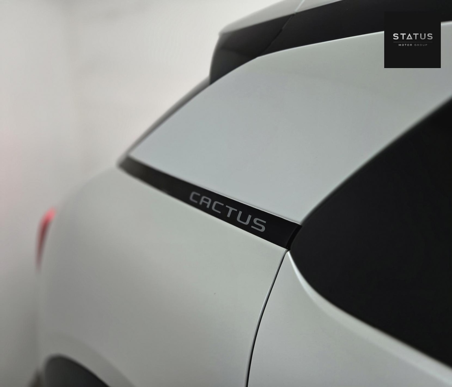 Used Citroen C4 Cactus 2019 for sale - 76688477: Photo 10