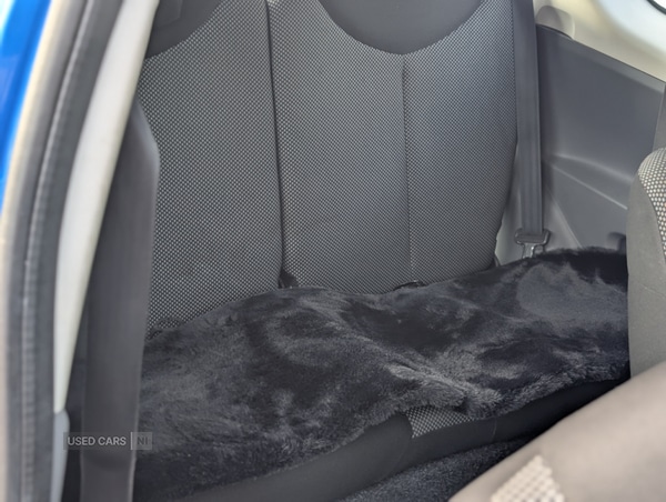 Used Toyota AYGO 2010 for sale - 77469665: Photo 11