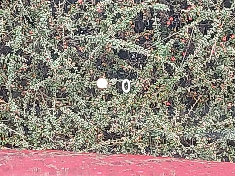 Used Vauxhall Astra 2023 for sale - 77405517: Photo 16