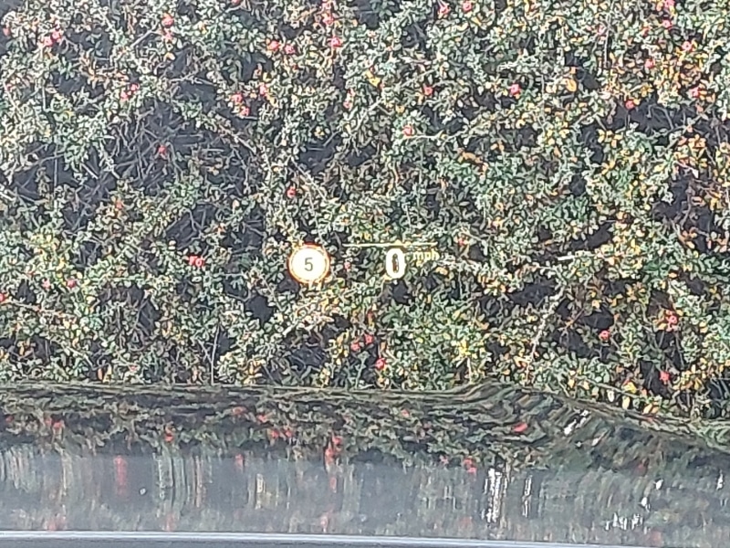 Used BMW 3 Series 2021 for sale - 76860632: Photo 16