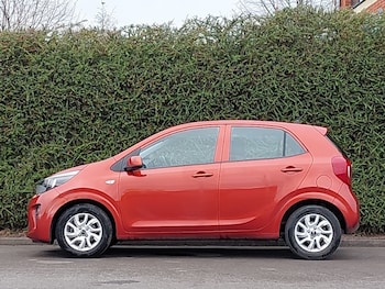 Used Kia Picanto 2019 for sale - 78125601: Photo