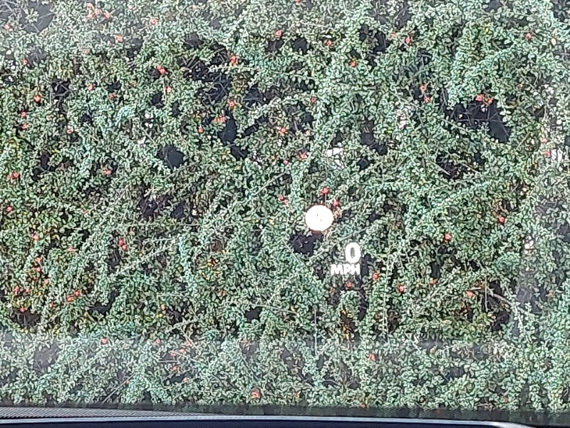 Used Nissan Qashqai 2025 for sale - 76708257: Photo 16