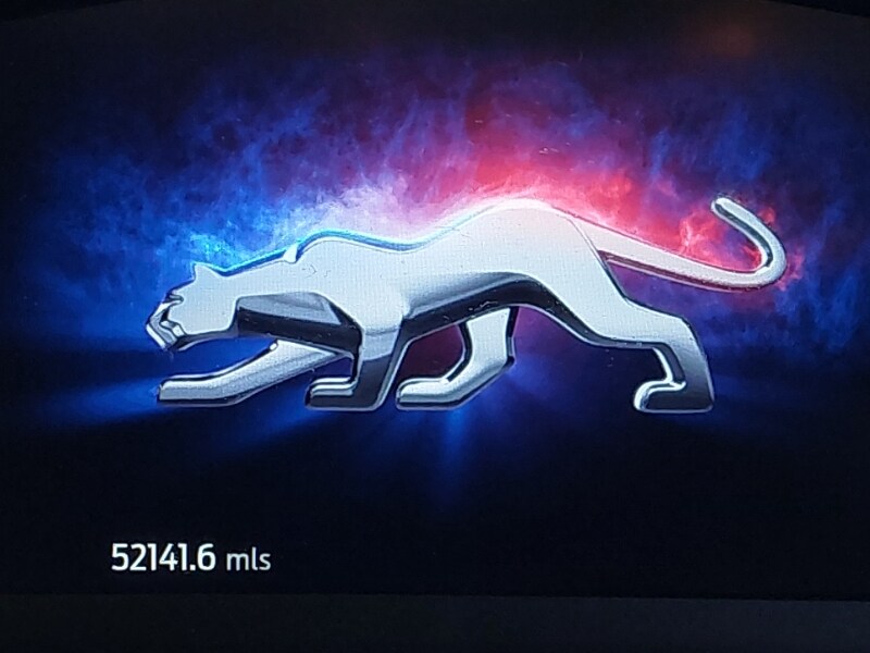 Used Ford Puma 2020 for sale - 76397393: Photo 15