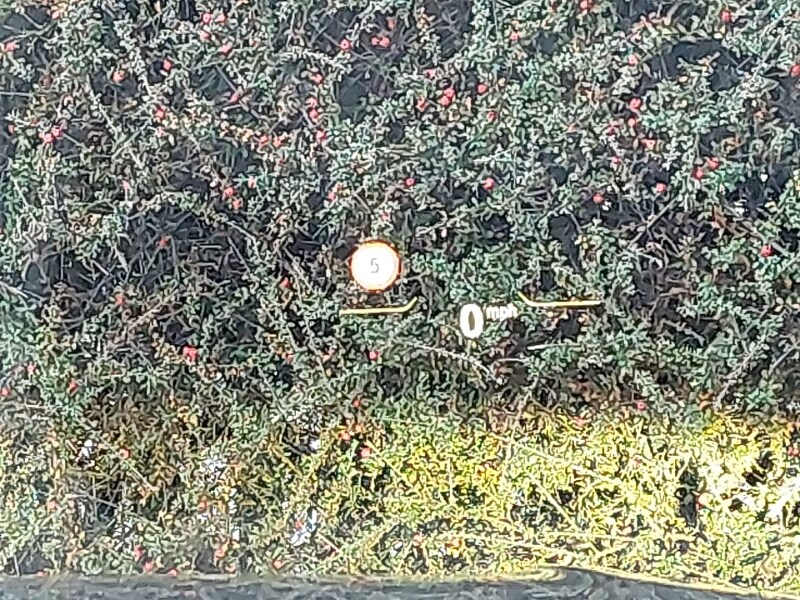 Used BMW 1 Series 2021 for sale - 77476057: Photo 16