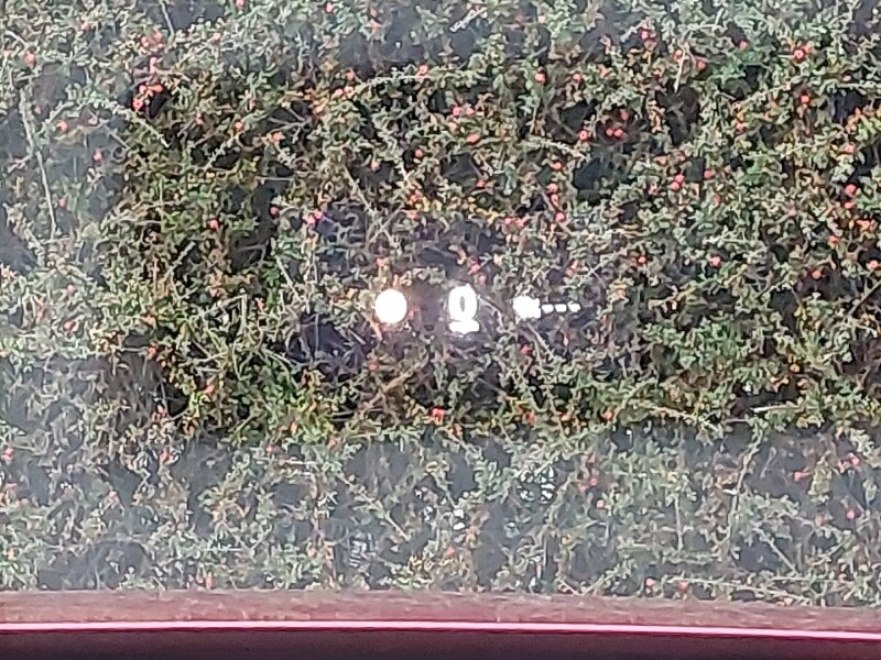 Used Mazda CX-30 2023 for sale - 77419300: Photo 16