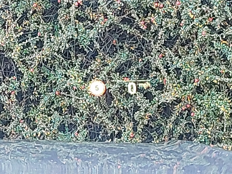 Used BMW 3 Series 2022 for sale - 76860631: Photo 16