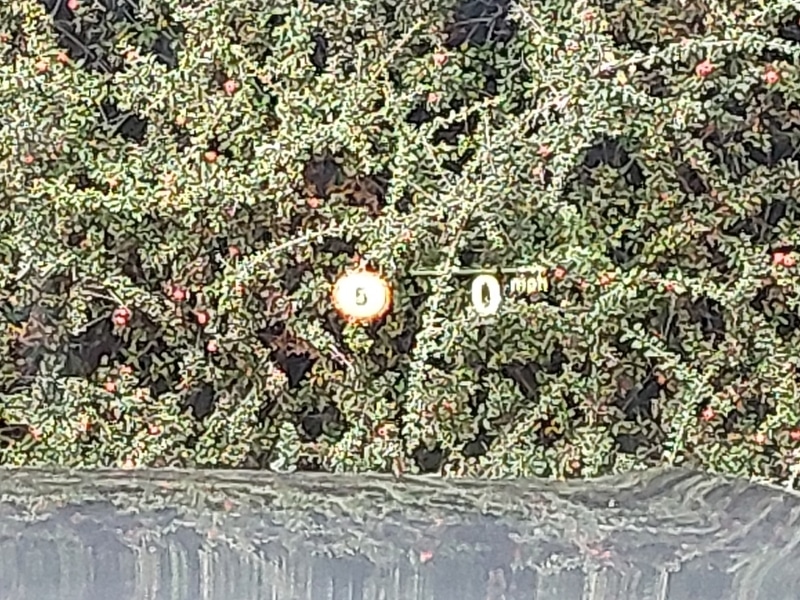 Used BMW 3 Series 2021 for sale - 76275651: Photo 16