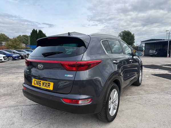 Used Kia Sportage 2016 for sale - 75654793: Photo 8