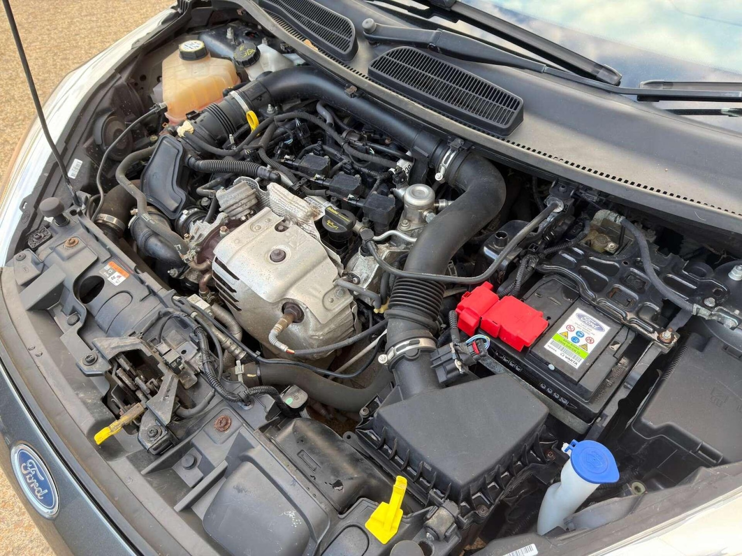 Used Ford Fiesta 2016 for sale - 76377568: Photo 16