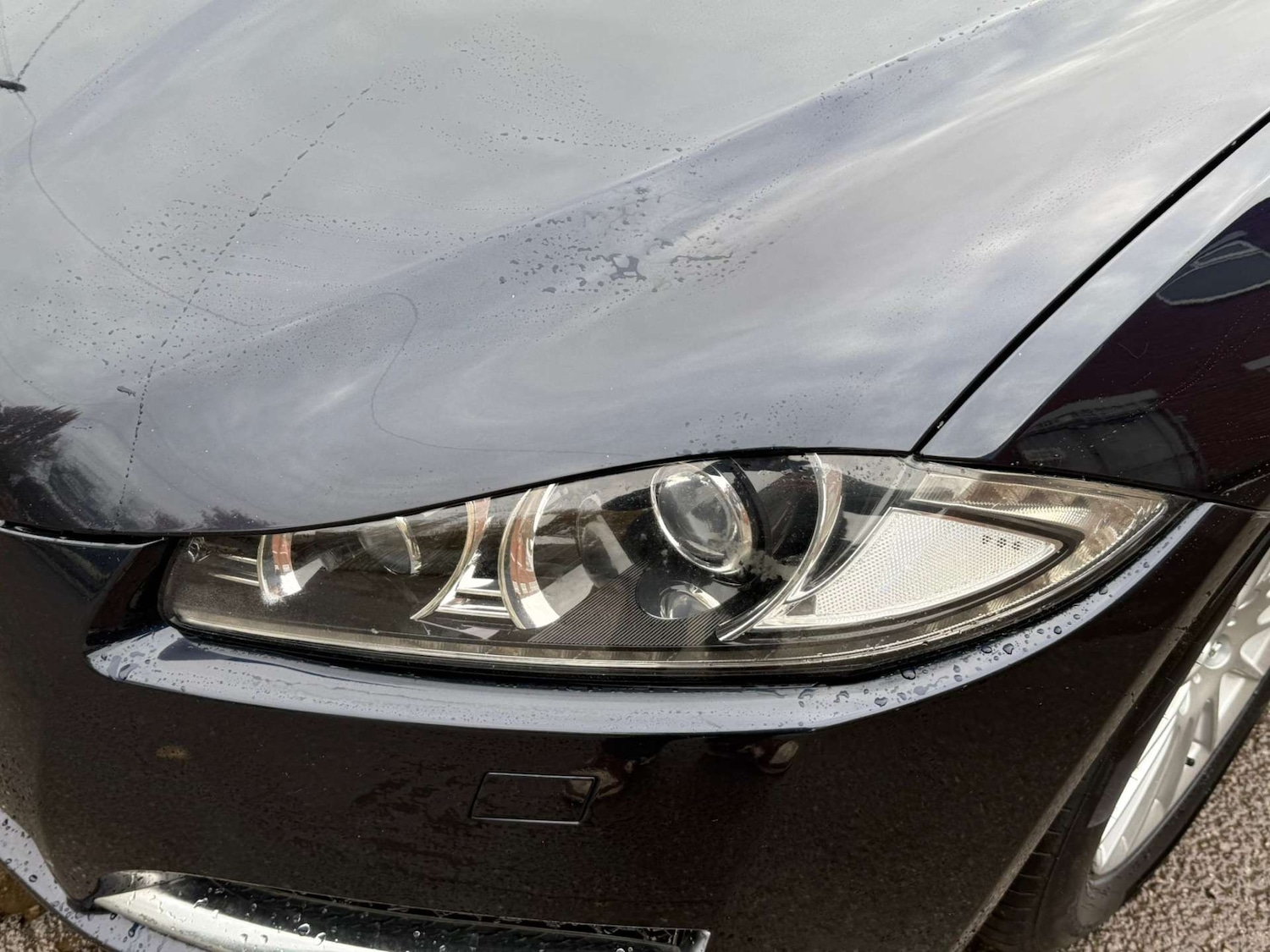 Used Jaguar XF 2011 for sale - 76362935: Photo 10