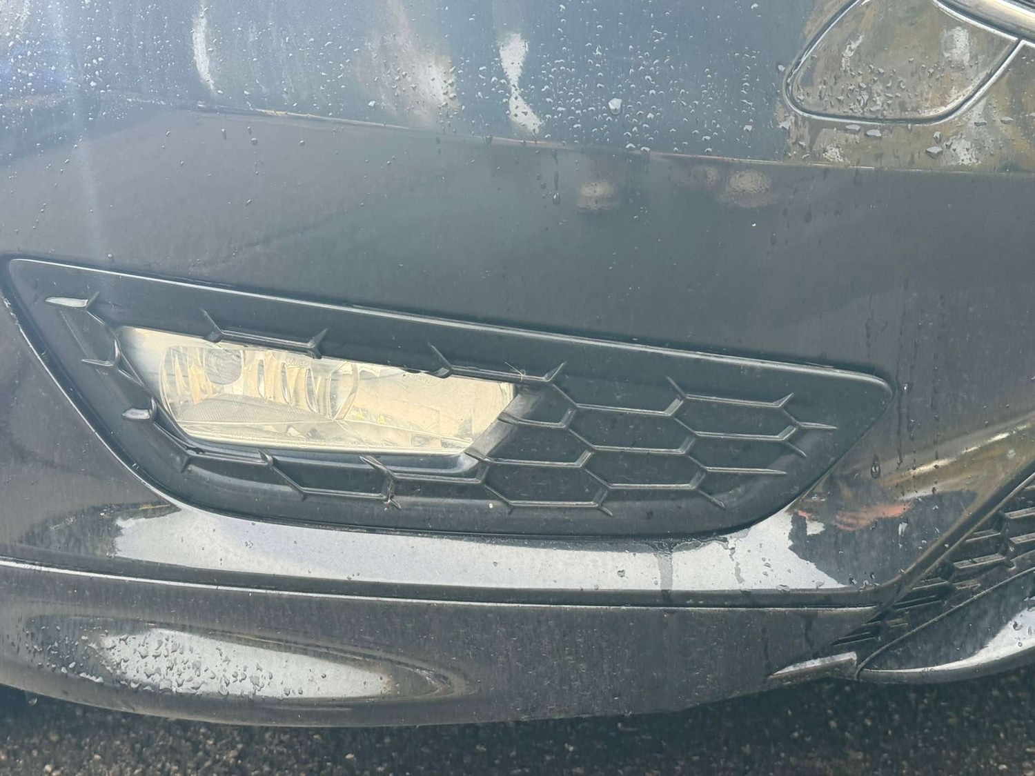 Used Ford Focus 2016 for sale - 76892336: Photo 12