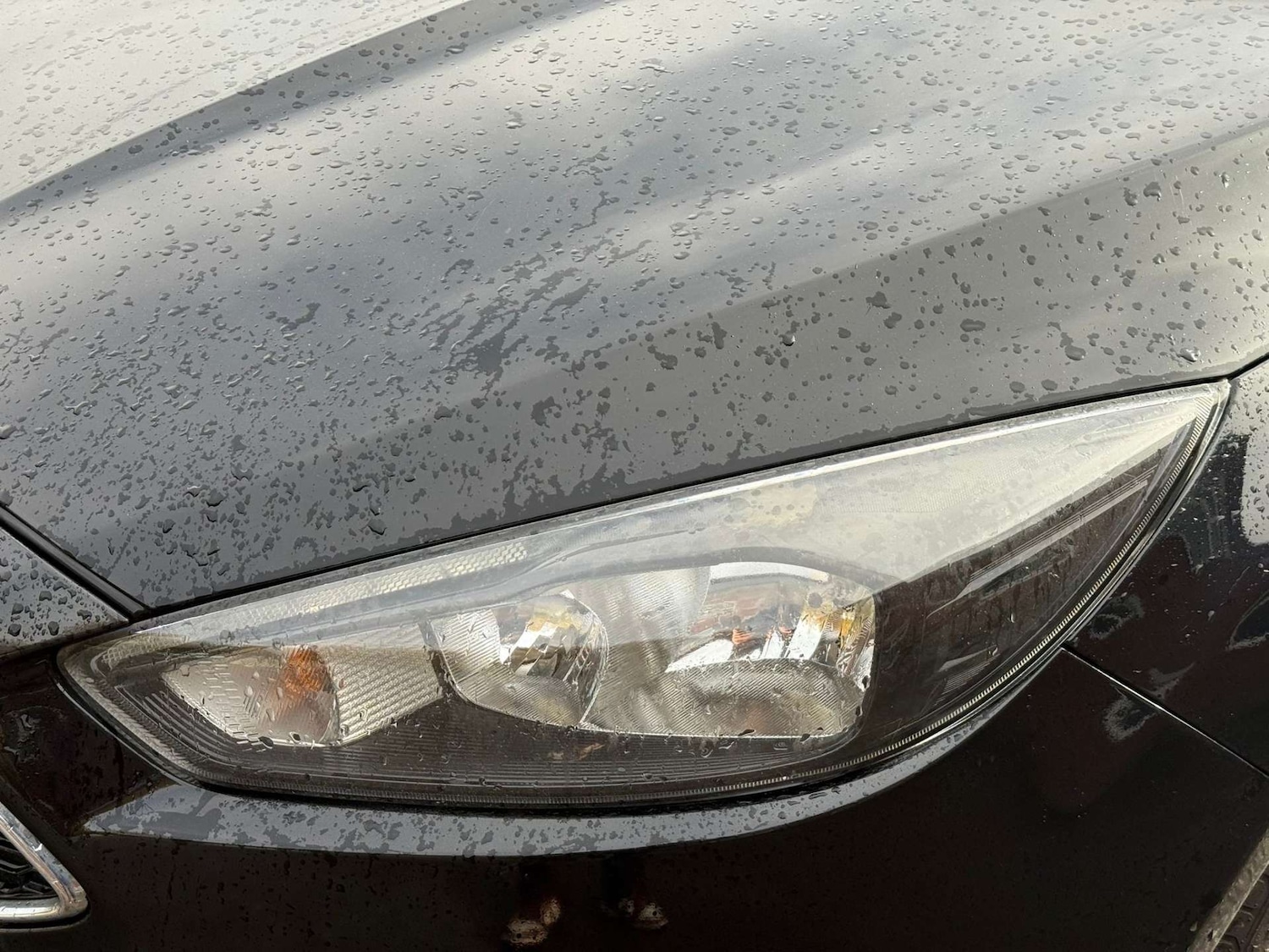 Used Ford Focus 2016 for sale - 76892336: Photo 13