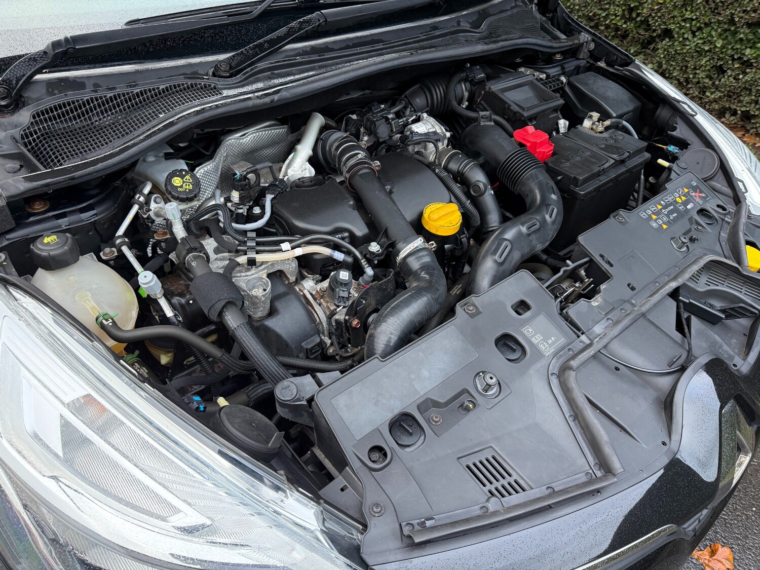 Used Renault Clio 2025 for sale - 76709671: Photo 59