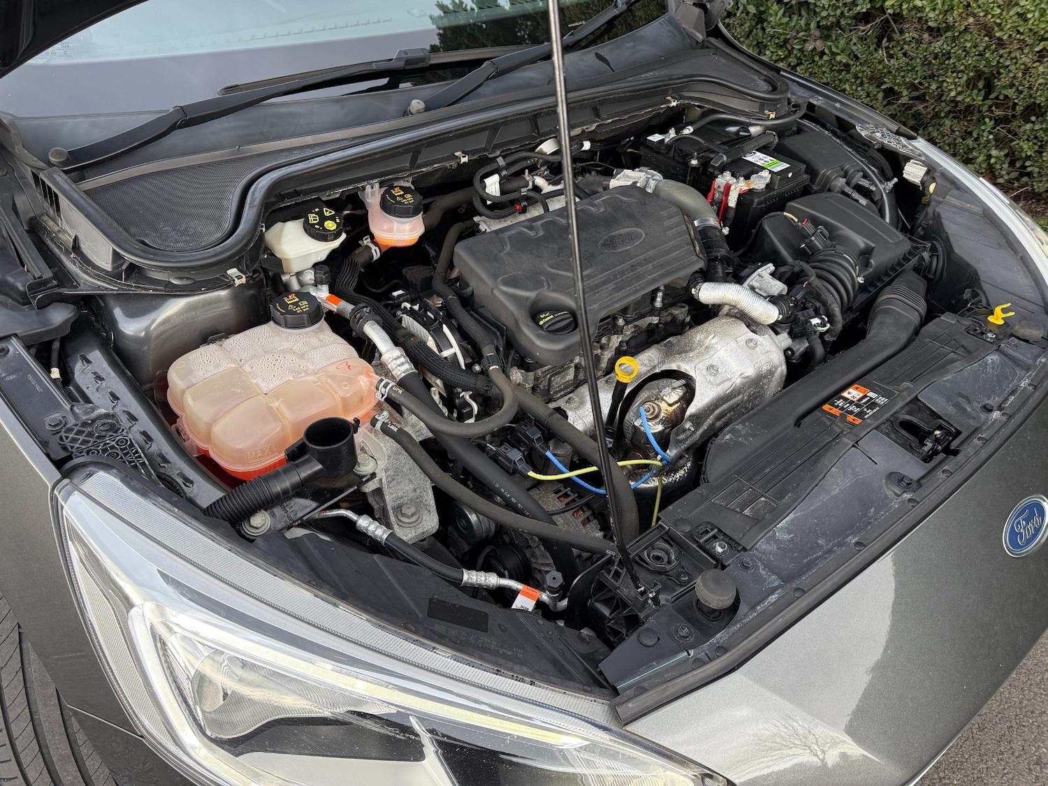 Used Ford Focus 2019 for sale - 77704340: Photo 56